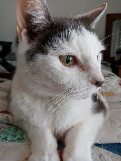 Memorial-image-of-Katsura