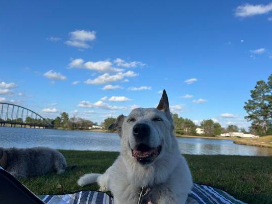 Memorial-image-of-April