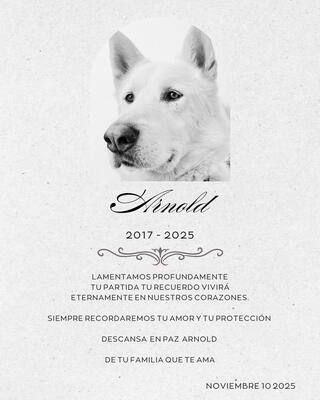 Memorial-image-of-Arnold