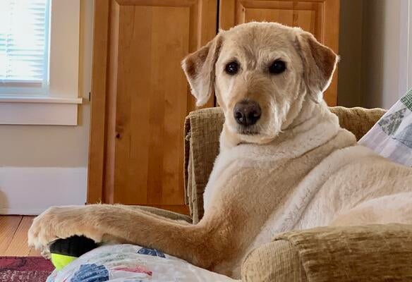 Memorial-image-of-Grace