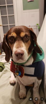 Memorial-image-of-Beau