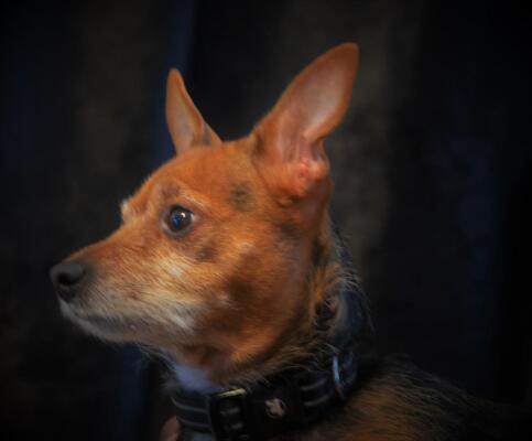 Memorial-image-of-David-DuBois