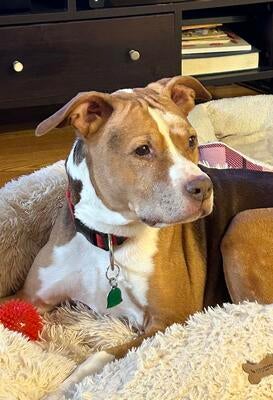 Memorial-image-of-Coco