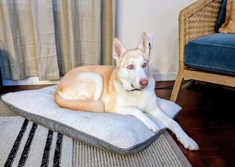 Memorial-image-of-Sky