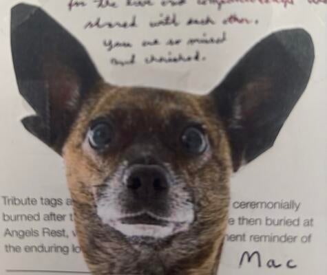 Memorial-image-of-Mac