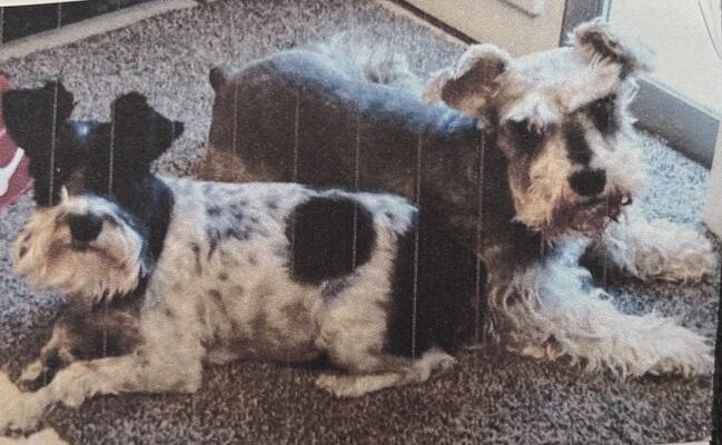 Memorial-image-of-Co-co-&-Ellen