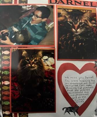 Memorial-image-of-Darnell