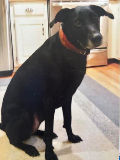 Memorial-image-of-Maggie