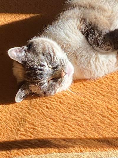 Memorial-image-of-Edwin