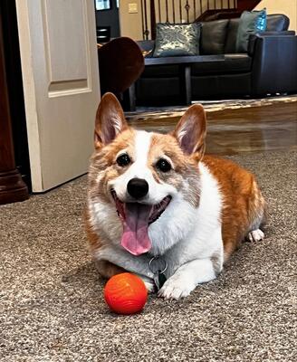 Memorial-image-of-Merlin-McLovin