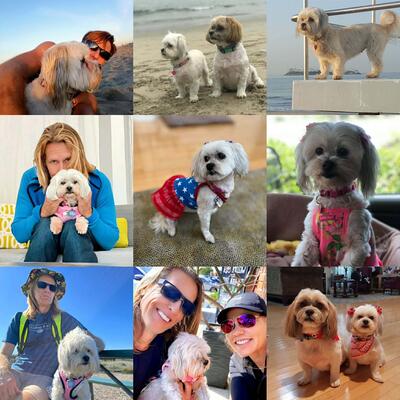 Memorial-image-of-Daisy-Mae-Bottano